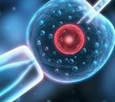 温州助孕机构排名，十大助孕机构最新数据汇总