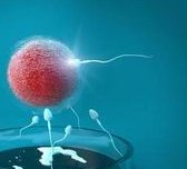 2026广州最新助孕机构排名大盘点，试管最新收费价目表公开