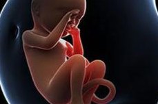 新加坡试管婴儿现在多少钱？透明价格全解析