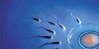 宁波专业助孕机构盘点：揭秘宁波前三甲助孕公司名录